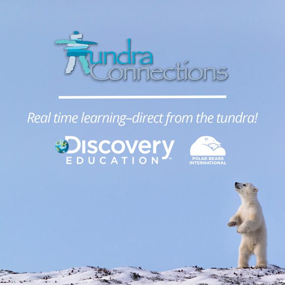 Tundra Connections