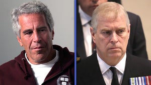 Jeffrey Epstein 'List' Explained: Prince Andrew and More Stars Named